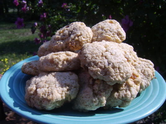 zachte gemberkoekjes (koekjes)