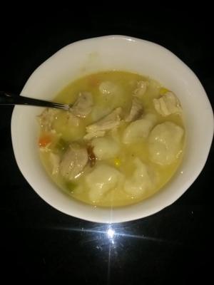 gemakkelijk kip of kalkoen met dumplings