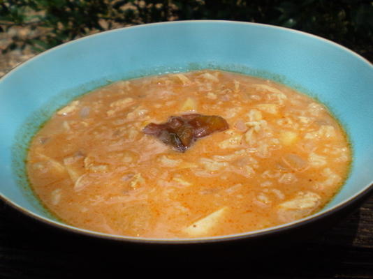 de mulligatawny soep van de memsahib: anglo-indian curried soup