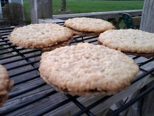 kant-en-klare sandwiches met havermout