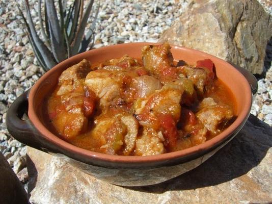 fay's groene chili stoofpot (chili verde)