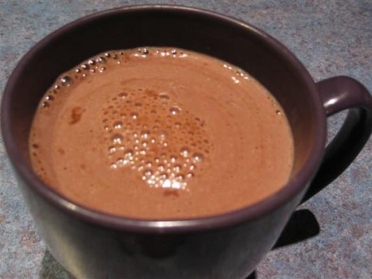 dikke en chocoladeachtige warme chocolademelk