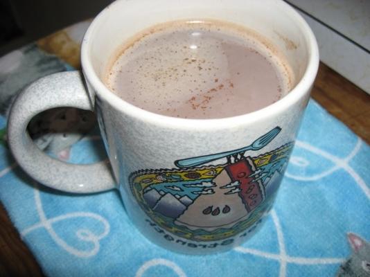 makkelijk warme chocolademelk (magnetron)