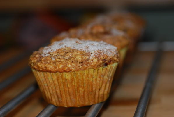 meergranen-havermout-craison spice muffins