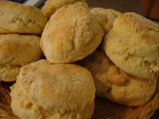 hoge opkomst aardappelpuree koekjes / broodstengels