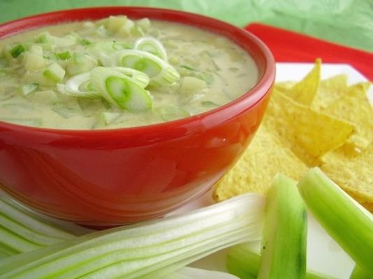 komkommer, wasabi en verse gember-salsa