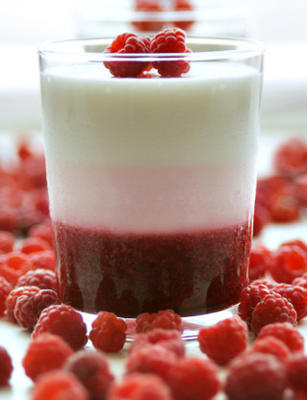 moet vetarm frambozen dessert proberen (panna cotta-achtig)