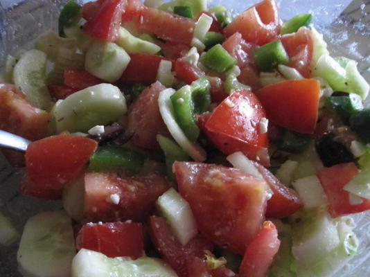de Griekse salade van stephen