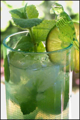 Mojito del Sol