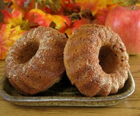 appelcider donuts (niet gefrituurd)