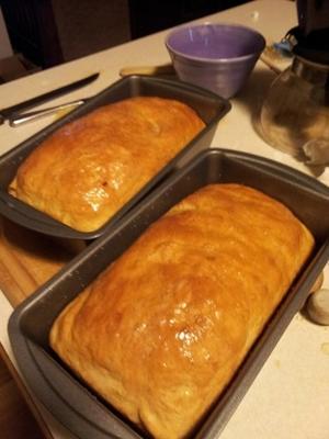 Earl's zelfgebakken brood voor de kitchenaid