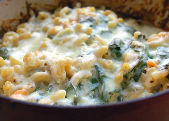 romige macaroni spinazie bakken