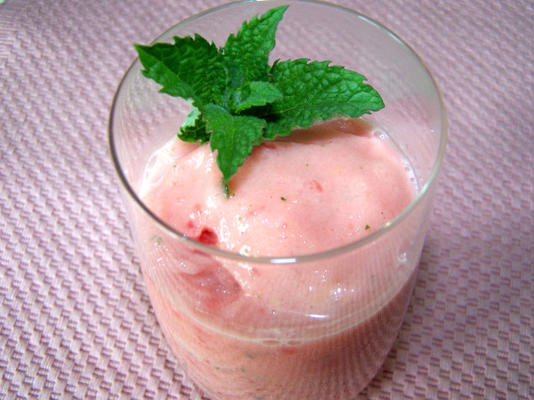 watermeloen yoghurt munt smoothie