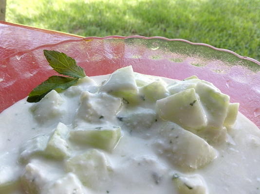 komkommersalade met yoghurt (Midden-Oosten, Palestina)