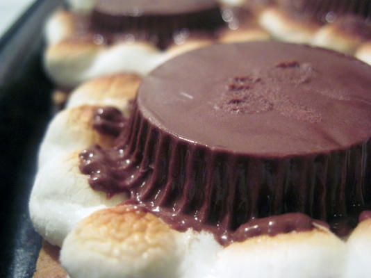 smores met reese's cups