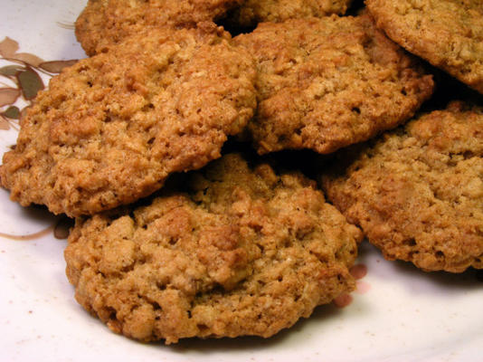 beste ooit havermoutkoekjes - land o meren