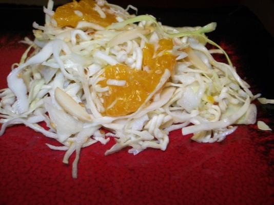 gewicht watchers knapperige chinese koolsalade