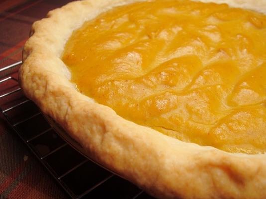 single flaky pie crust (keukenmachine)