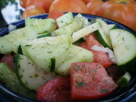 verfrissende salade van komkommer en tomaat