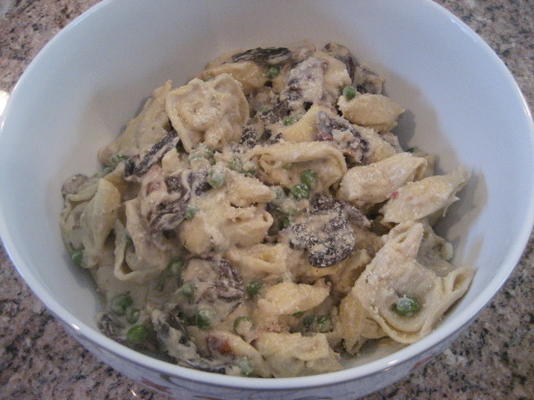 tortellini michelangelo