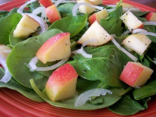 appelspinazie salade