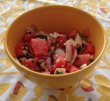 geweldige watermeloen Griekse salade met feta