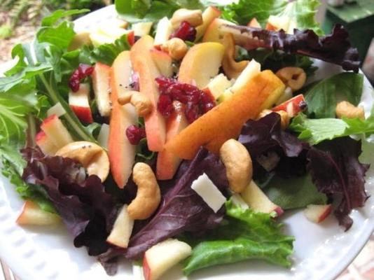 cashew salade met appels en peren