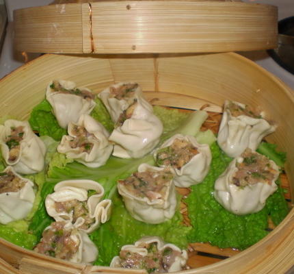 kip en groene ui dumplings w / balsamic sojasaus