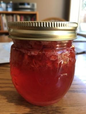 aardbeienvriezer jam