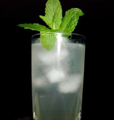 gember-munt mojito's