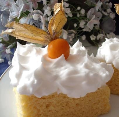 Mexicaans - traditionele tres leches cake