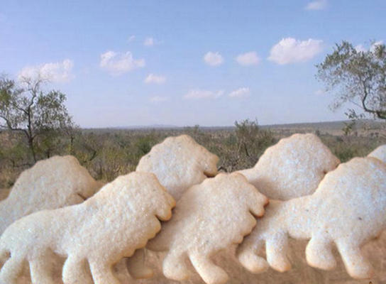 suikergesmeerde koekjes