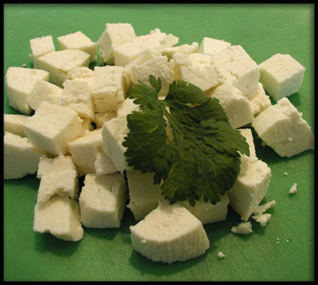 homemade paneer (panir - indian cheese)