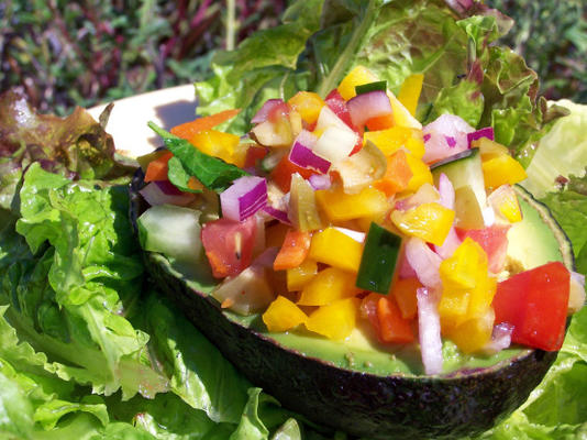 avocado ahdi