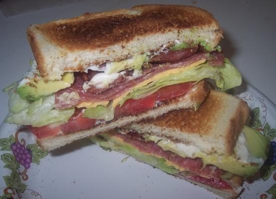 blt en salami sandwich