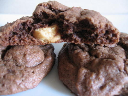 dubbele chocolade dubbele pindakaas koekjes