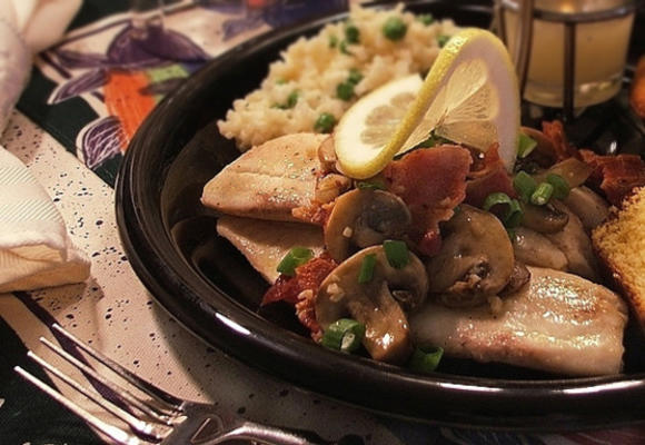 tilapia voor bedrijf
