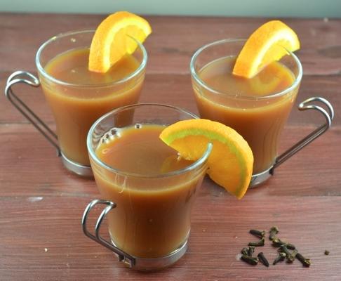 vakantie punch crock pot cider