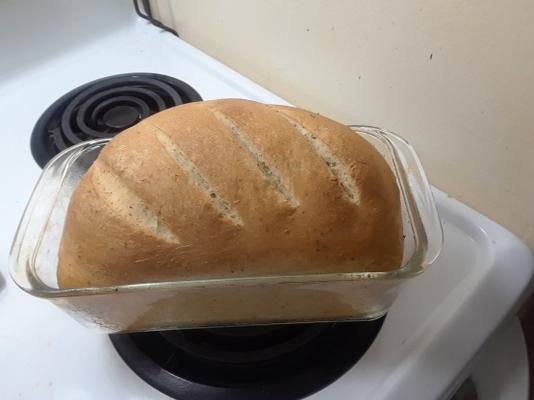 beste vers brood met een broodmachine om te kneden