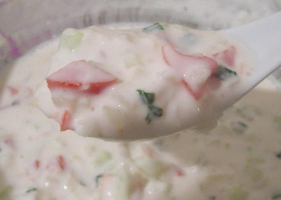 raita met liefde uit India