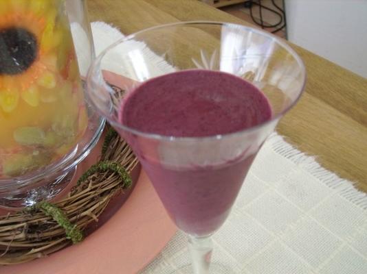 tahini blueberry blender ijs (rauw voedsel)