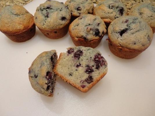 muffins basis
