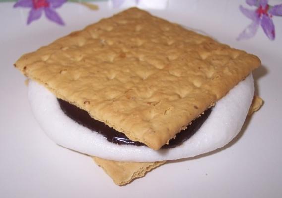 snelle magnetron s'mores