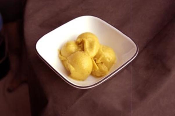 mango-kokosijs (veganistisch)