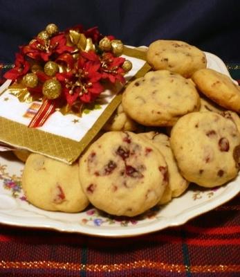 cranberry chocolade zandkoekjes