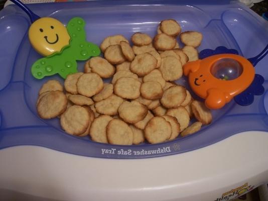 zelfgemaakte kinderziektes crackers