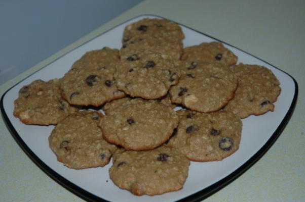 volkoren havermout en chocoladekoekjes