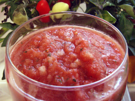 de gemakkelijke salsa-processor van leah