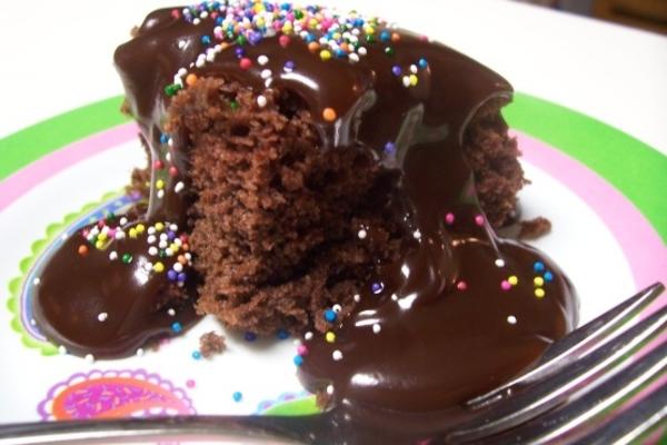 magnetron chocolade snack cake