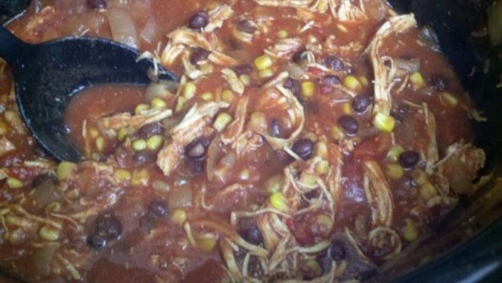 crock-pot tortilla soep in zuiderse woonstijl